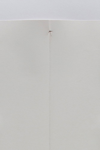 Trittien detail-cut-I-V-13